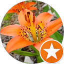 Katie N. profile picture